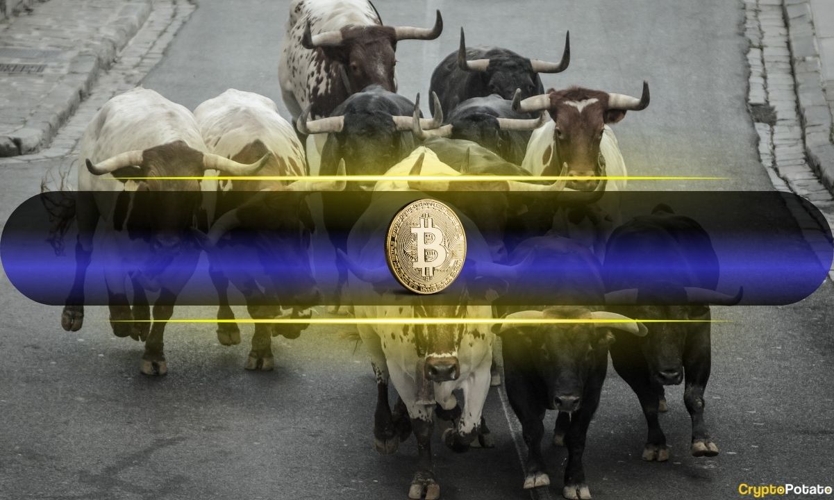 Analysts Confident Bull Market Will Continue Despite Extreme Fear