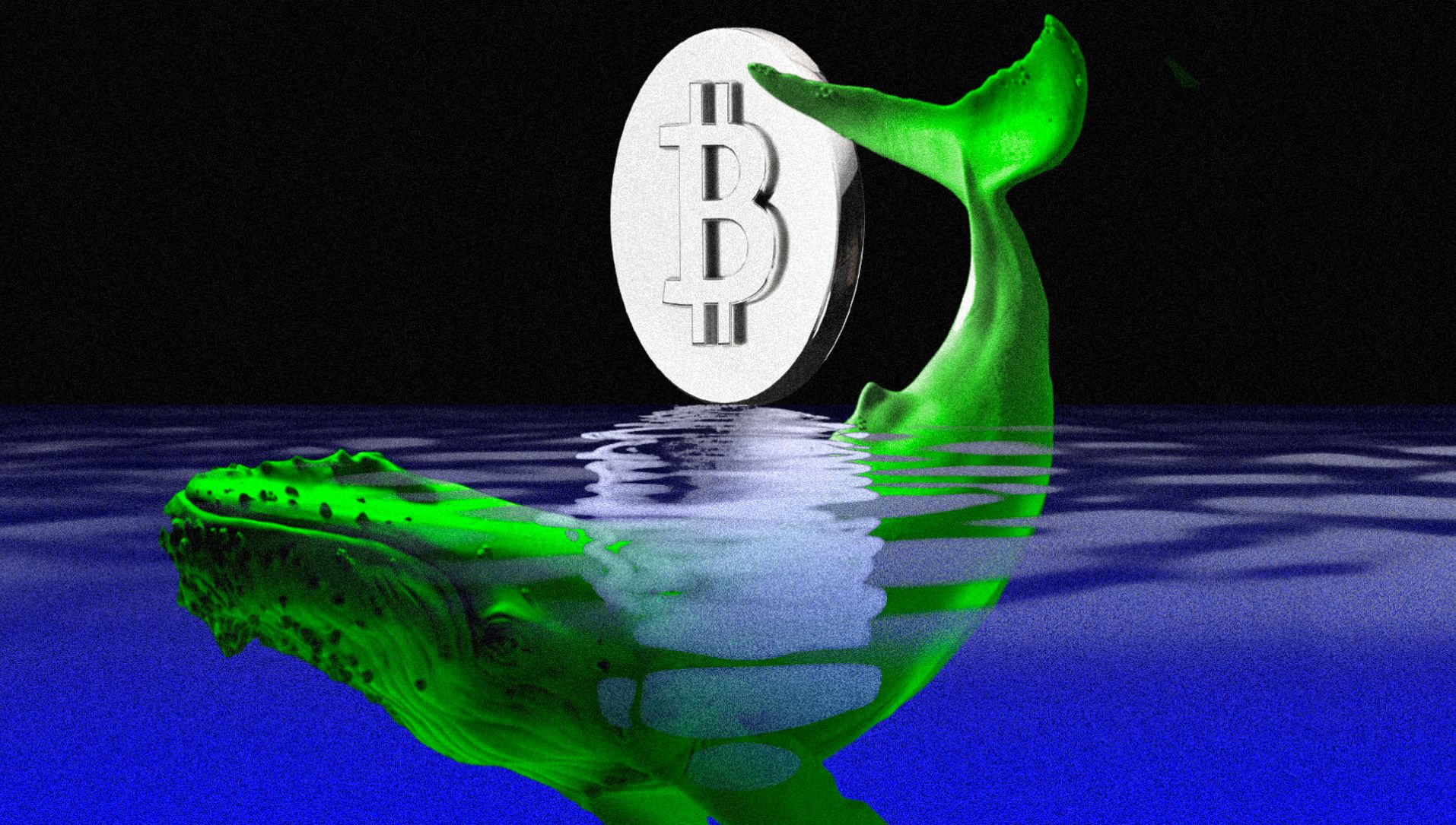 Crypto Whale Long Position on Bitcoin and Ethereum.