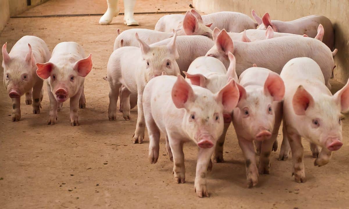 US Seeks Forfeiture of $14.2B Bitcoin Linked to Pig-Butchering Kingpin Chen Zhi