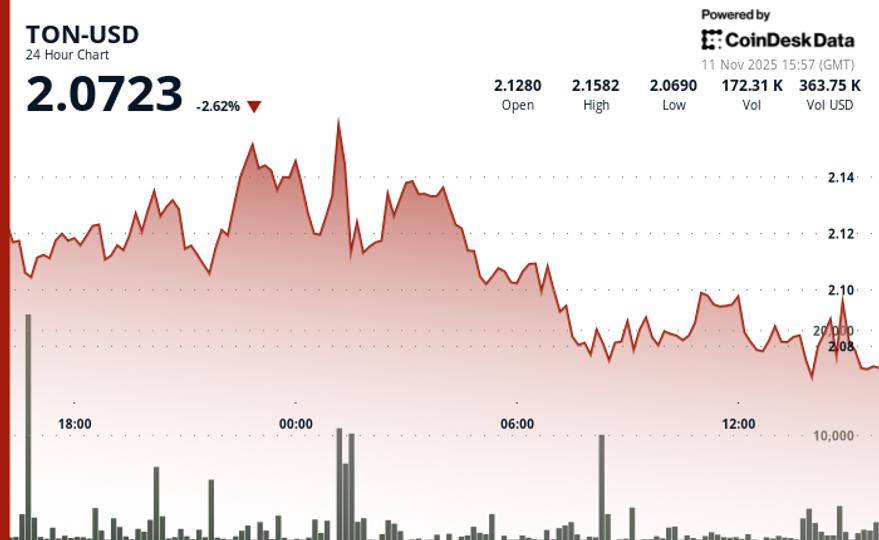 Toncoin (TON) Price Drops to Key $2.07 Support Level as Selling Pressure Builds