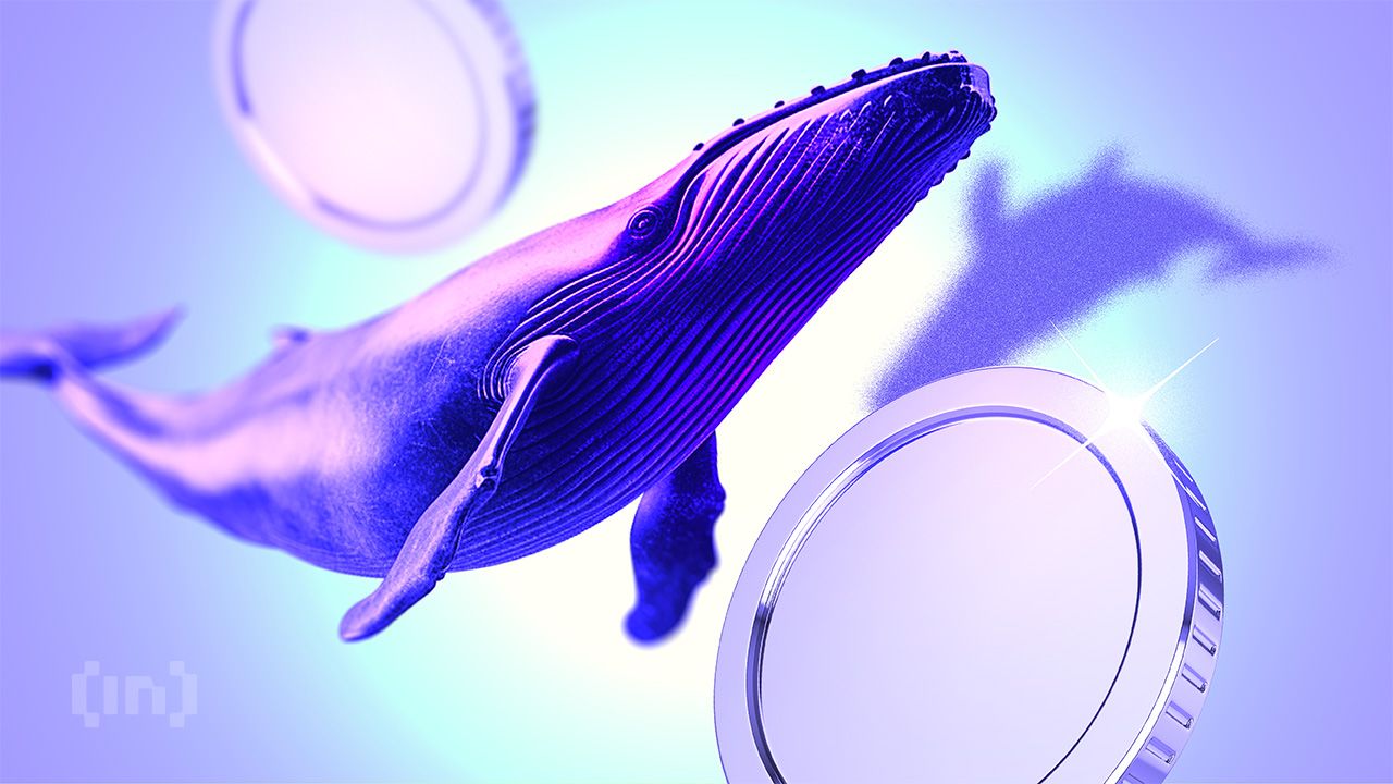 Crypto Whales Buy These 3 Tokens After Cooler US CPI Print