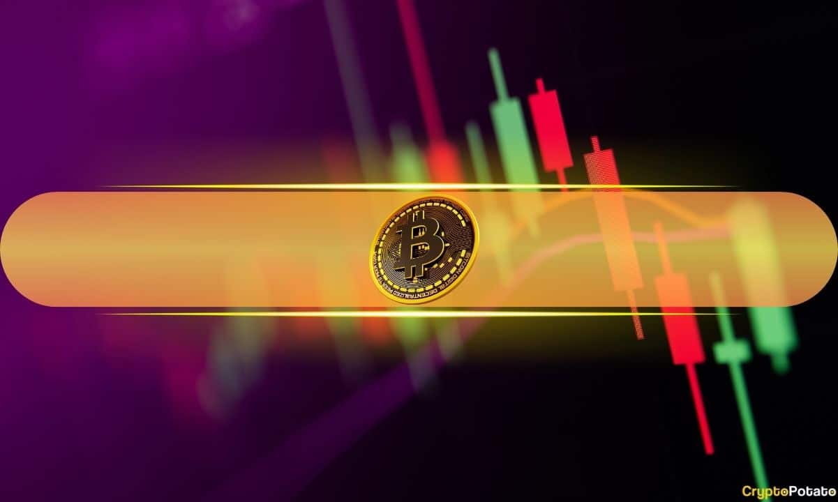 BNB Flips XRP Again, BTC Slips Below $67K: Weekend Watch