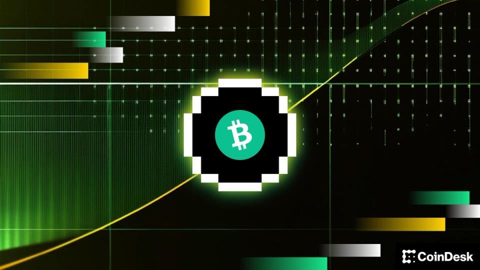 BTC price hits wall at $80,000, one analyst says the pullback is temporary: Crypto Daily