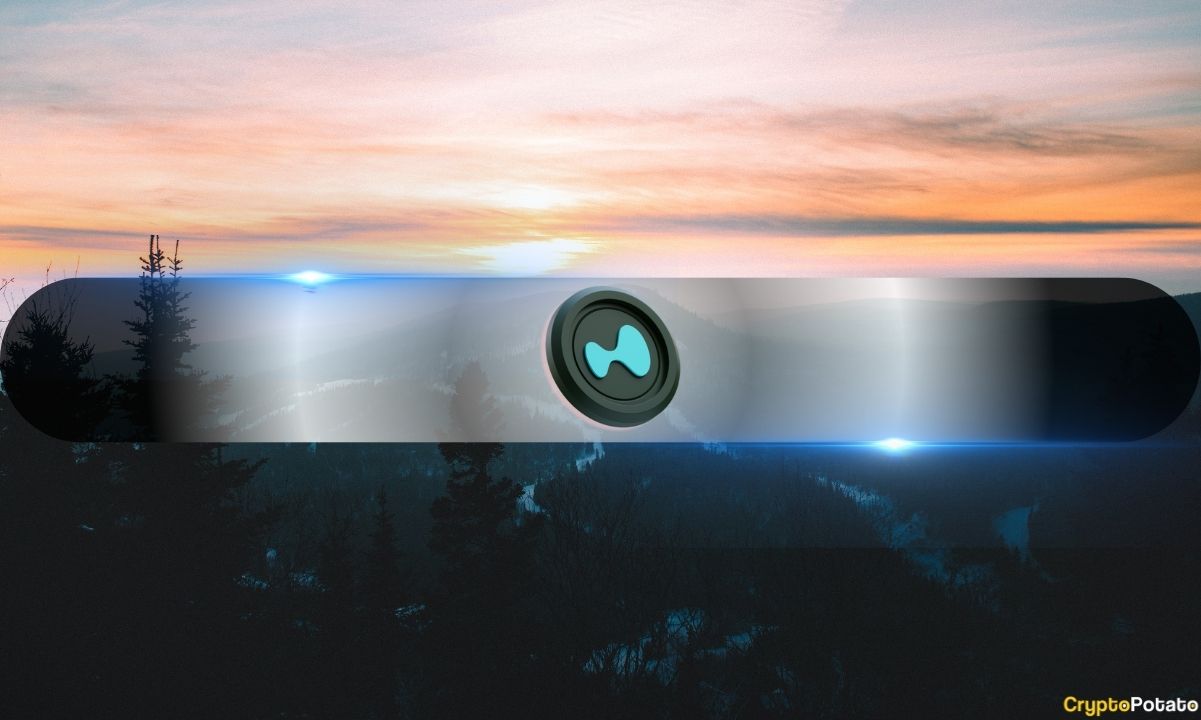 Hyperliquid's (HYPE) Growth Story Meets Slowing Activity: Report