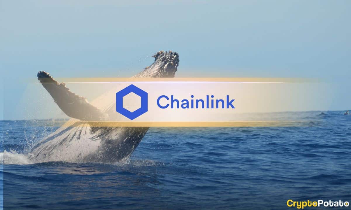 LINK Whales Move Millions to Binance Before Key Banking News