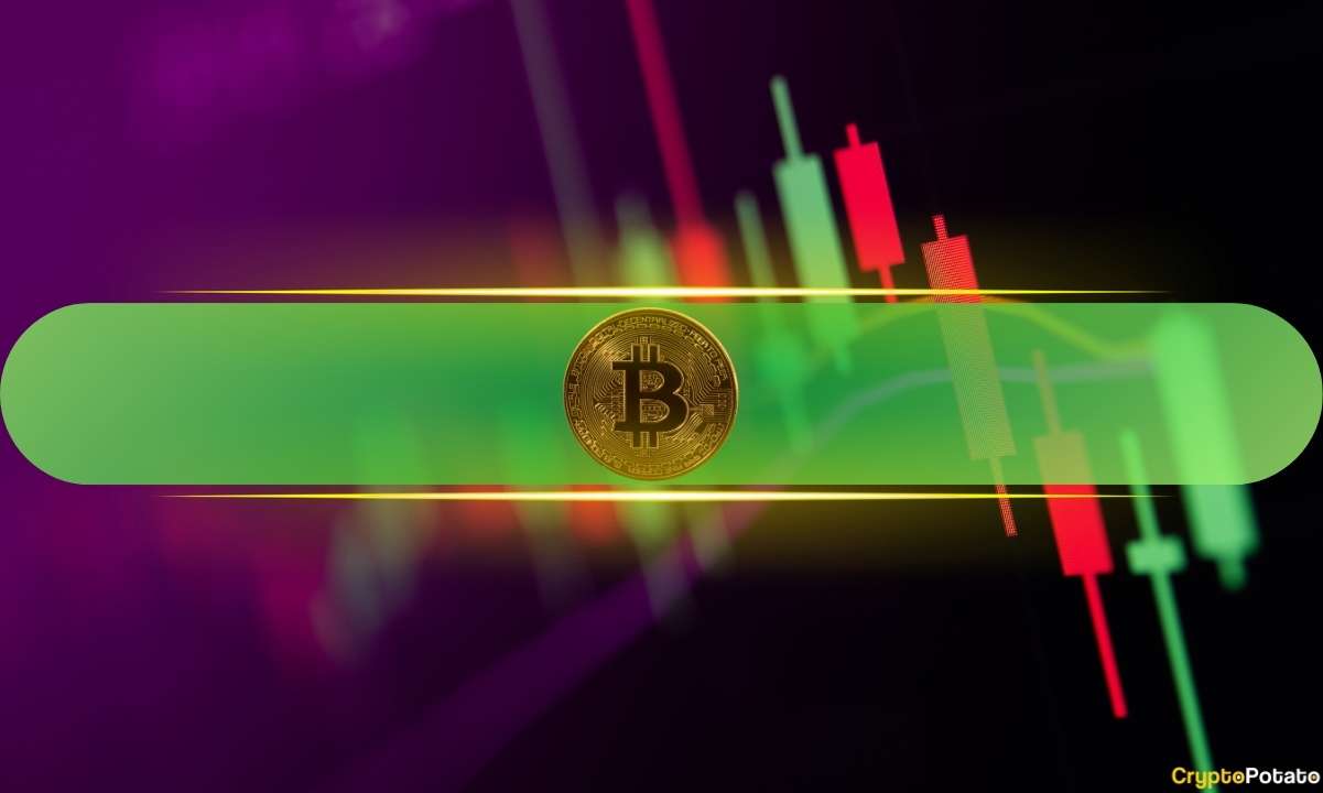 Bitcoin Holds Above $62K as HYPE, ADA Lead Altcoin Recovery: Weekend Watch