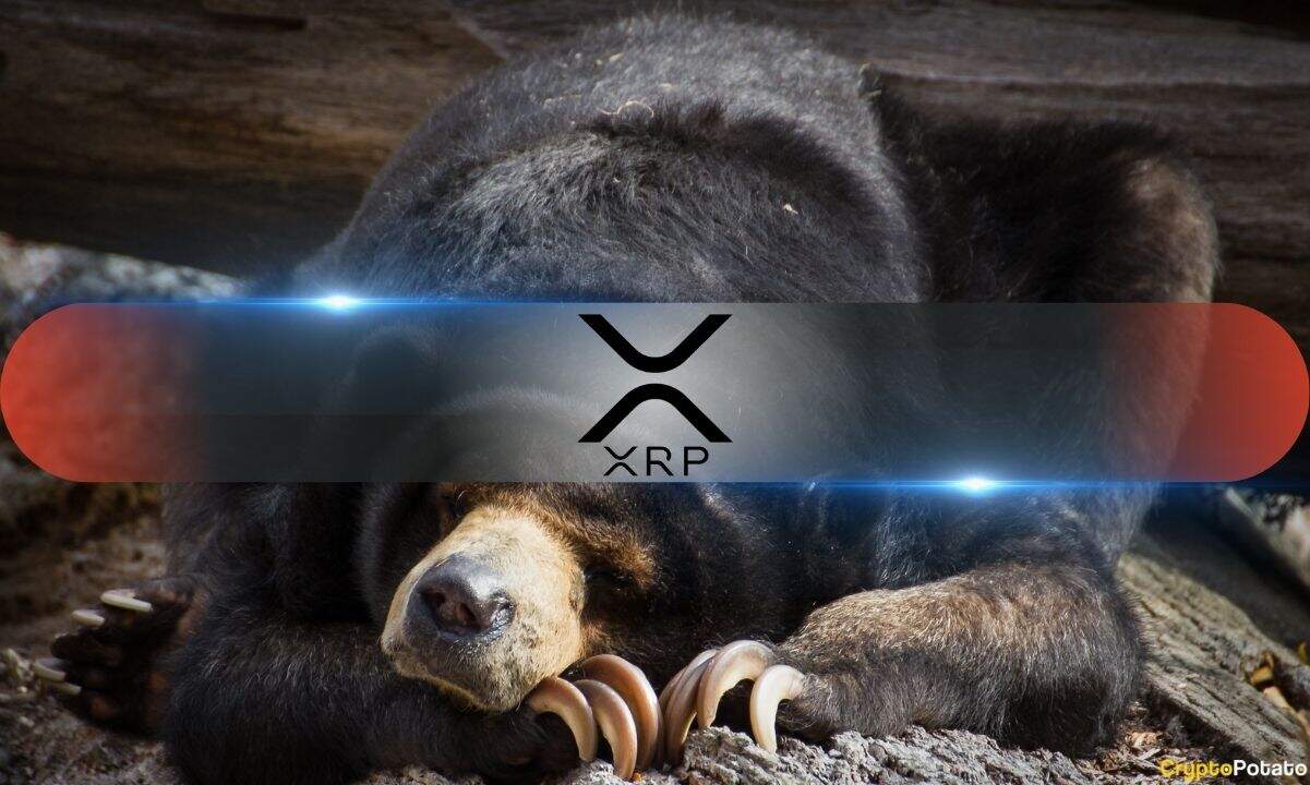XRP's On-Chain Data Flashes Warning While Sellers Continue to Dominate